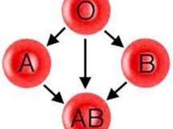 Кръвна група и характер.Има ли връзка?