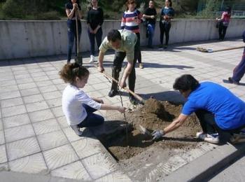 Отбелязаха Седмицата на гората в Златоград 