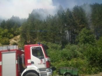 Жена от Неделино ще бъде глобена, предизвикала пожар