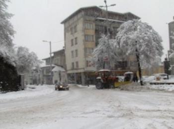 Екипи на пожарната отстраняваха паднали дървета