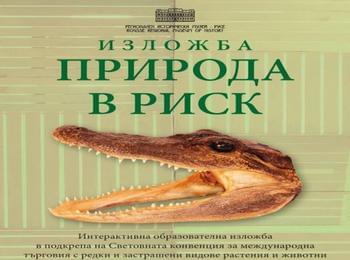  „Природа в риск“ е мотото на изложба, която гостува на музея в Смолян