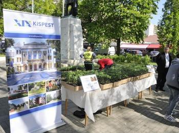  Български сортове домати в Кишпещ, семената бяха избрани от зам.-кмета инж.Мариана Цекова