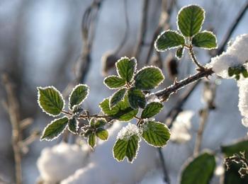  Очаква ни по-студено време