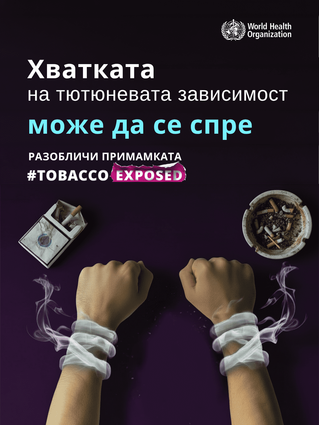 Alternaive text